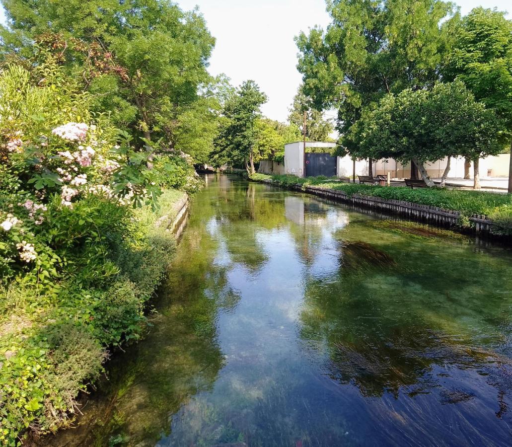 Casa Mia, Chambre Privee En Provence L'Isle-sur-la-Sorgue Ngoại thất bức ảnh